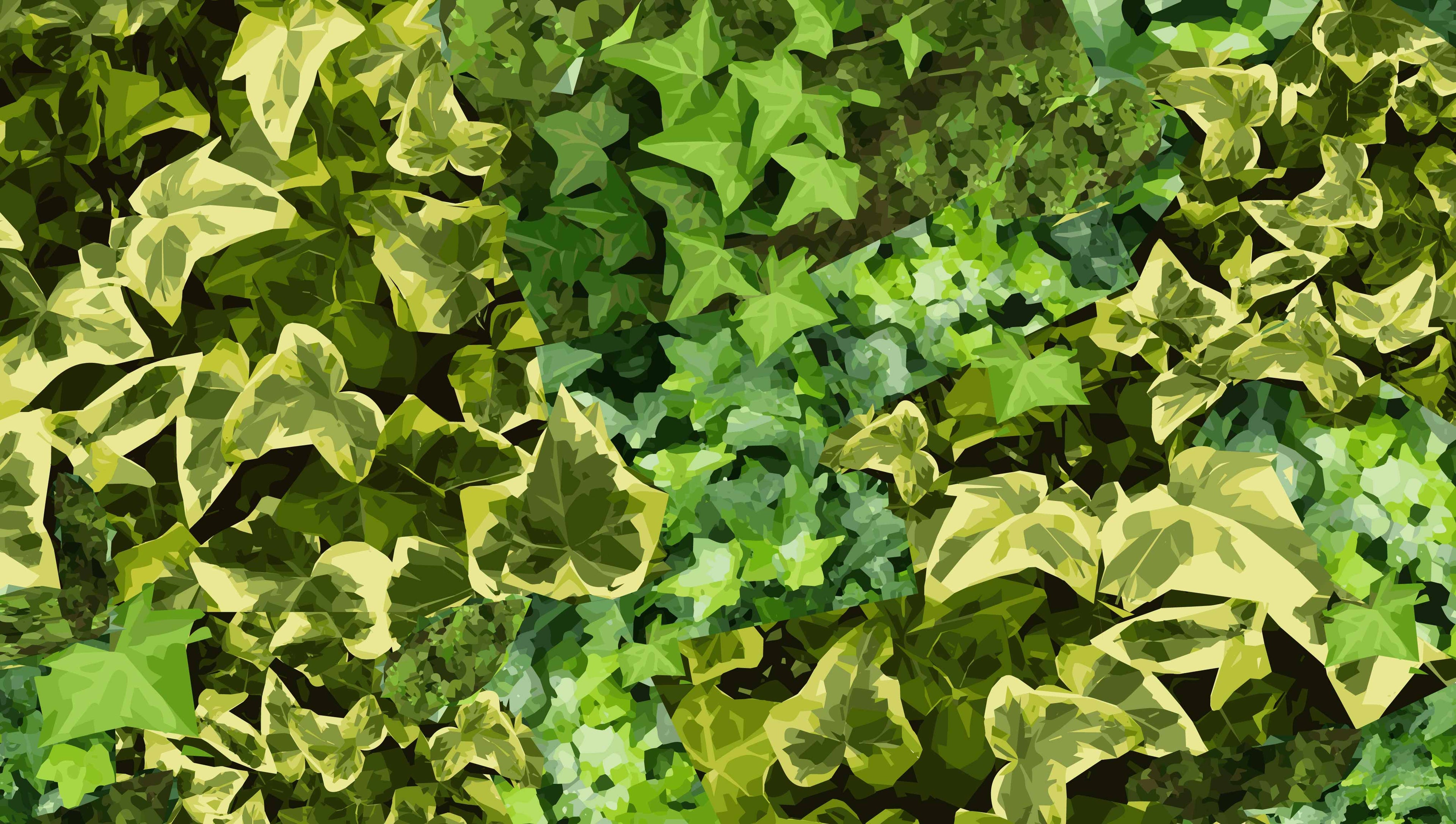 Close-up of green ivy leaves with a blurred background