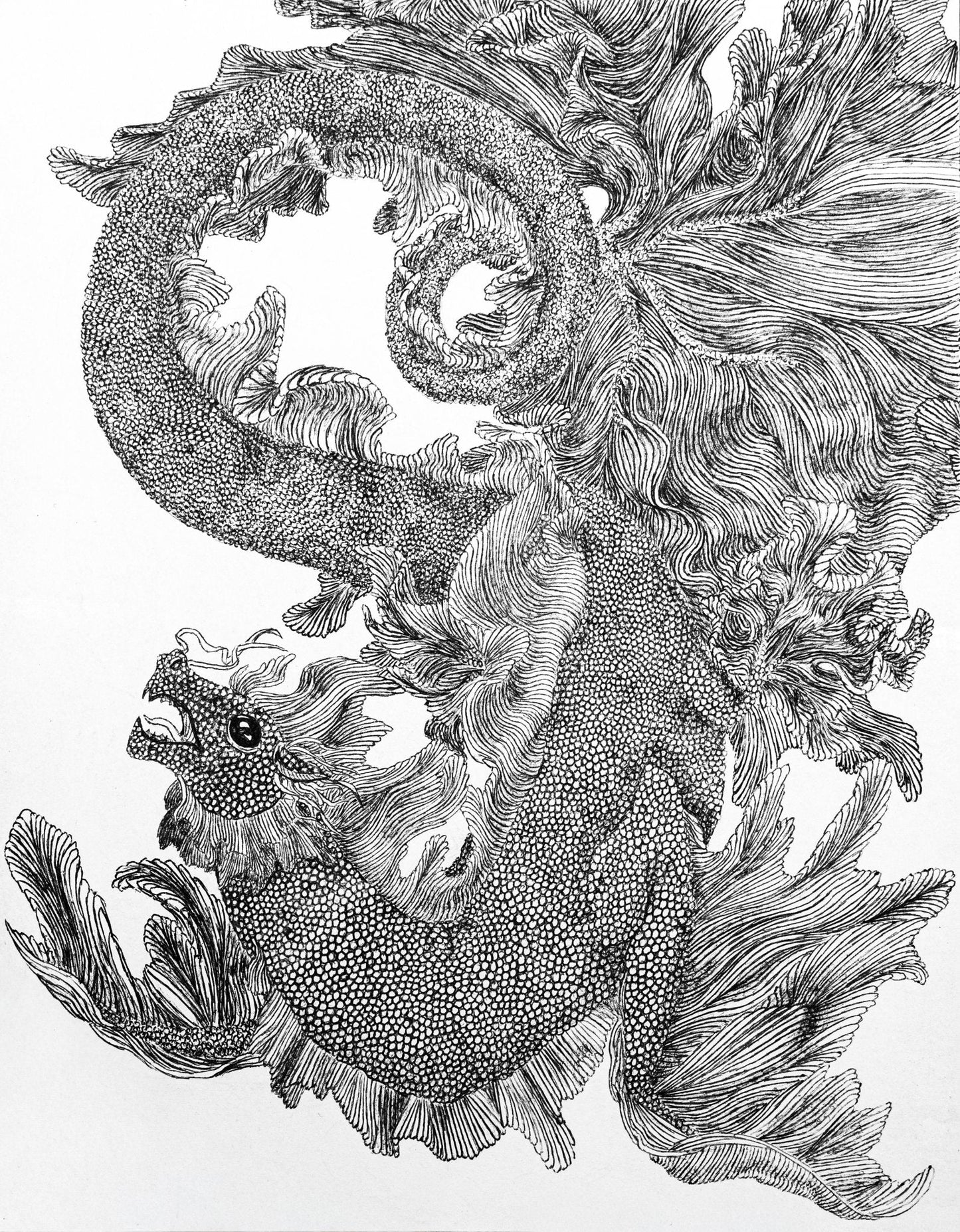 Detailed ink illustration featuring a black and white sea dragon twisting around itself.