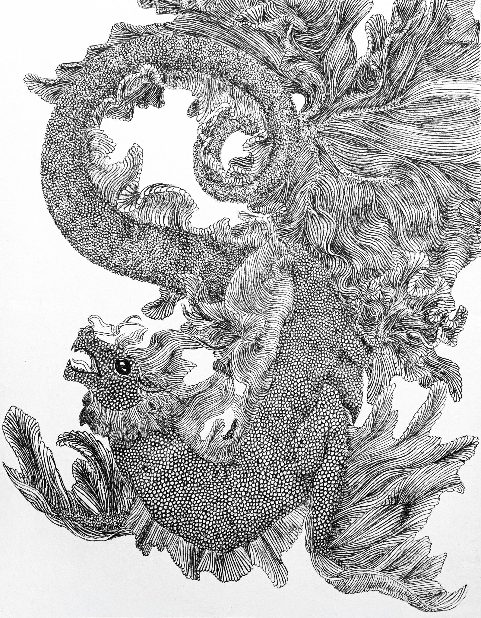 Detailed ink illustration featuring a black and white sea dragon twisting around itself.